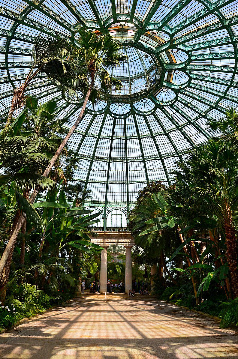A picture inside the Royal Greenhouse of Laeken of many exotic trees.
